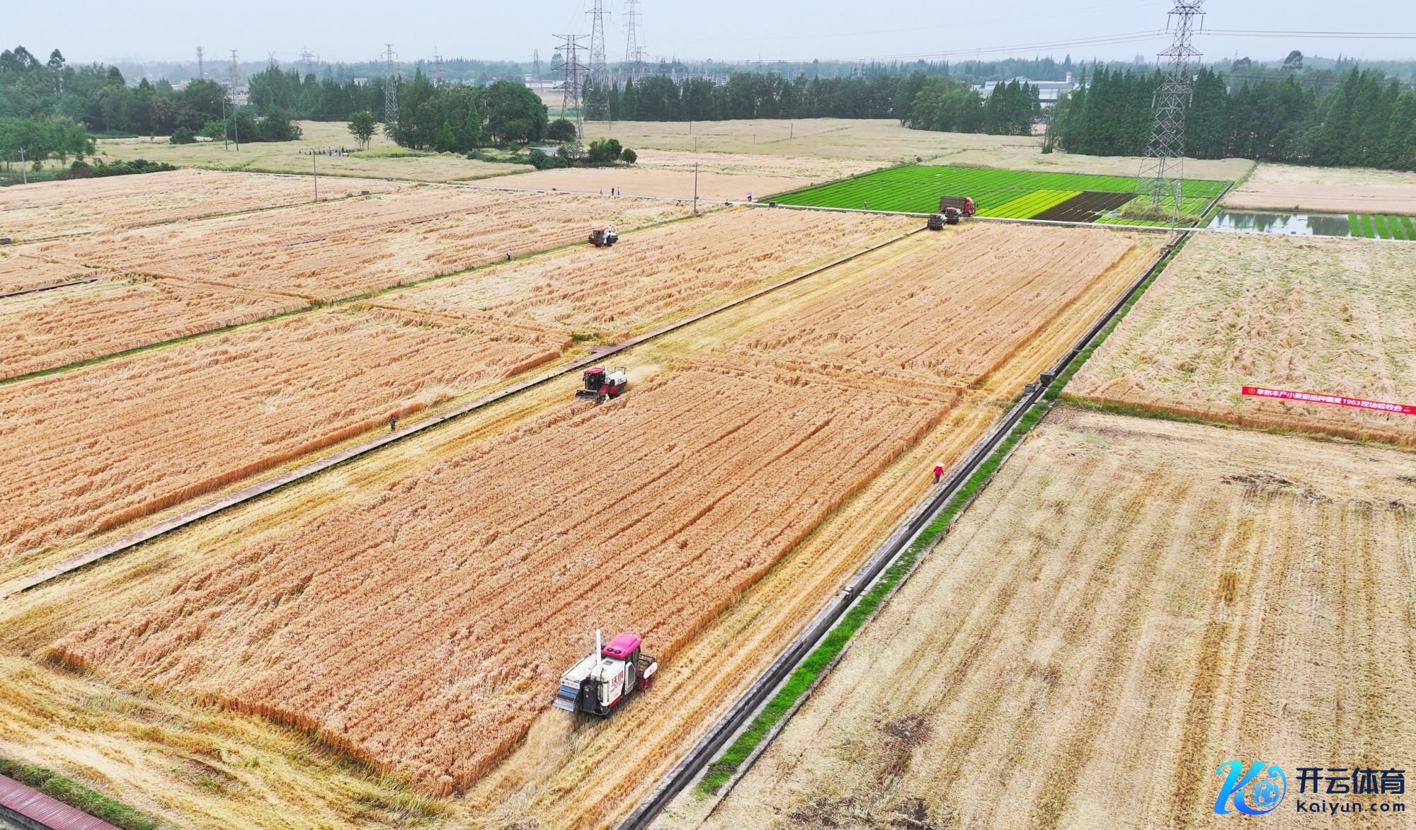 dji_fly_20250509_161428_0273_1746778885764_photo-01
