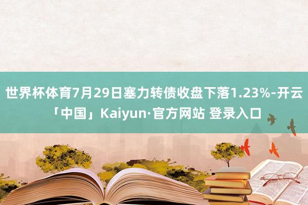 世界杯体育7月29日塞力转债收盘下落1.23%-开云「中国」Kaiyun·官方网站 登录入口