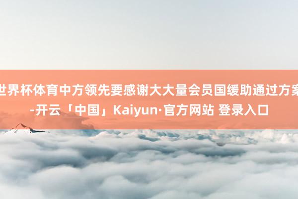 世界杯体育中方领先要感谢大大量会员国缓助通过方案-开云「中国」Kaiyun·官方网站 登录入口