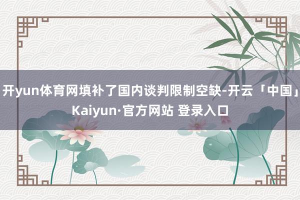 开yun体育网填补了国内谈判限制空缺-开云「中国」Kaiyun·官方网站 登录入口