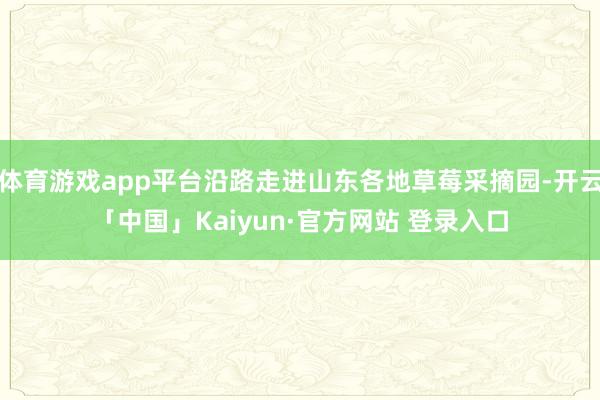 体育游戏app平台沿路走进山东各地草莓采摘园-开云「中国」Kaiyun·官方网站 登录入口